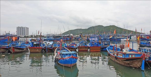 Срочно завершать систему прослеживаемости морепродуктов