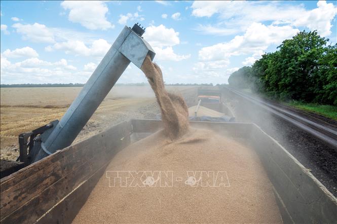 Украина выступает за продление зерновой сделки
