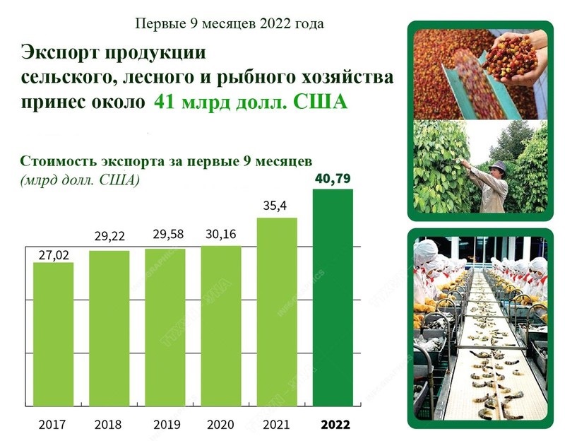 Экспорт продукции сельского, лесного и рыбного хозяйства принес около 41 млрд долл США