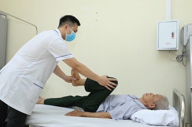 Внедряя модель обучения 2+2, Вьетнам будет «экспортировать медсестер»