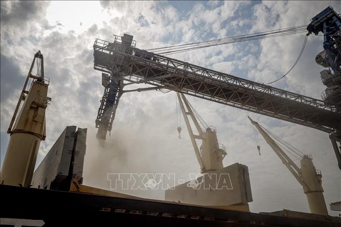 ООН необходимо продлить зерновую сделку в скорейшем времени