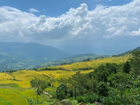 Куангнинь Фестиваль желтого сезона Биньльеу начнется в эти выходные