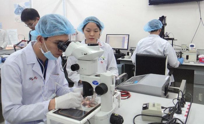 Государственный университет г Хошимина признан местом с лучшей возможностью трудоустройства