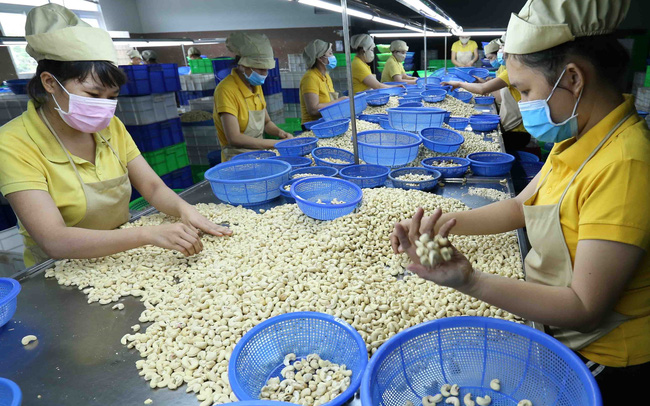 Экспортная стоимость 8 видов продуктов достигла более 2 млрд долл США каждая