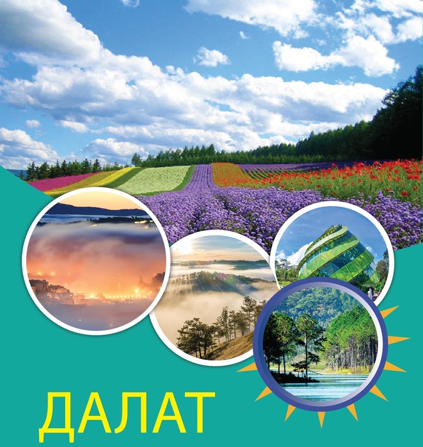 Далат вошел в топ-3 самых красивых направлений для любования цветами в мире