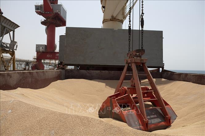 Россия возобновила участие в зерновой сделке