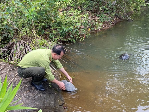 112 диких животных выпущены в национальный парк в Биньфыоке