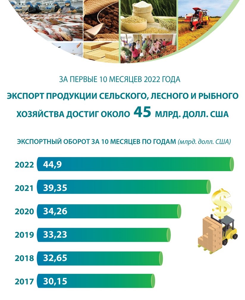 Экспорт продукции сельского, лесного и рыбного хозяйства достиг около 45 млрд долл США за первые 10 месяцев 2022 года