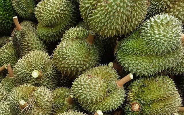 Экспорт фруктов и овощей в Китай вновь растет