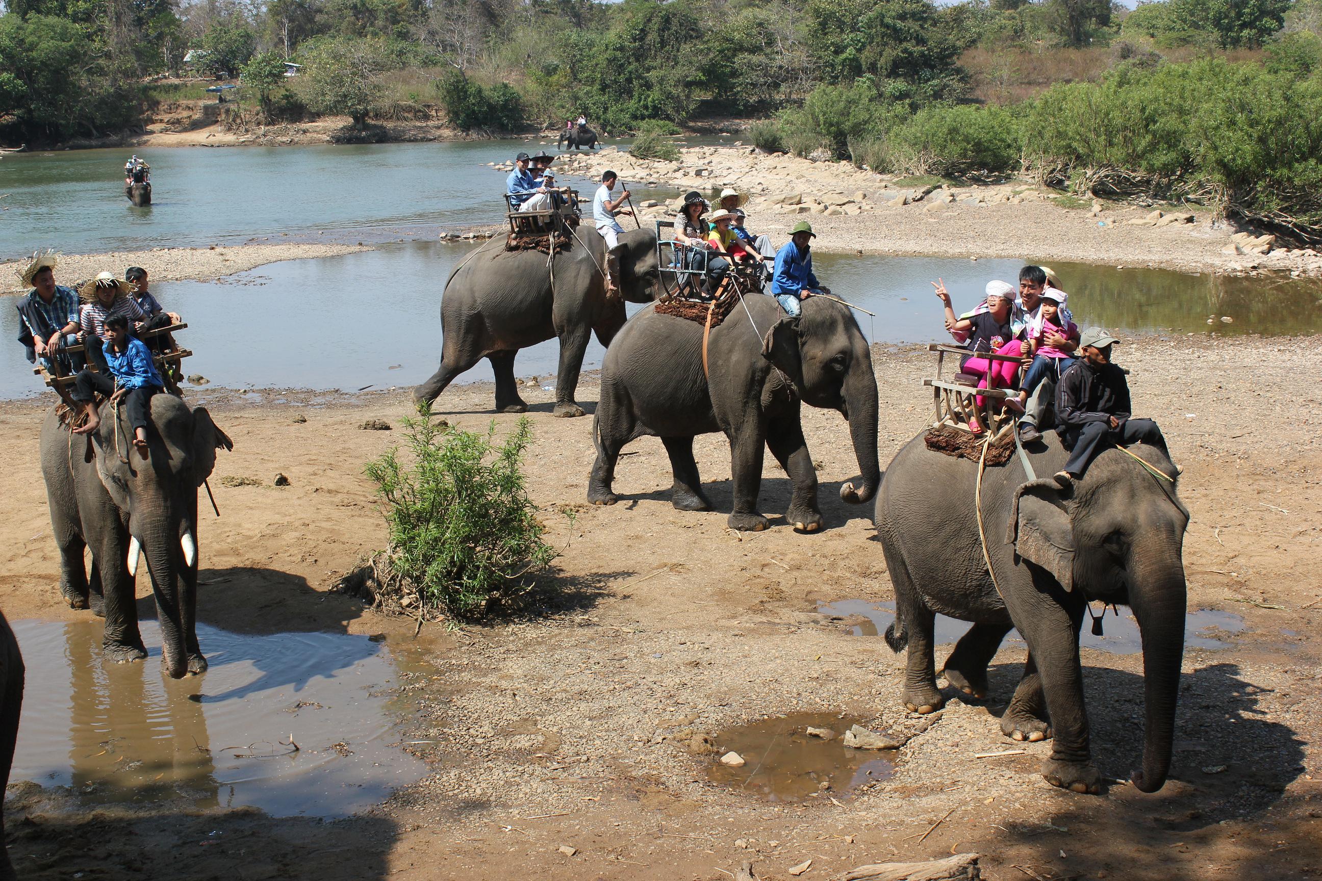 Преобразование модели тура с катанием на слонах в экологическую модель туризма