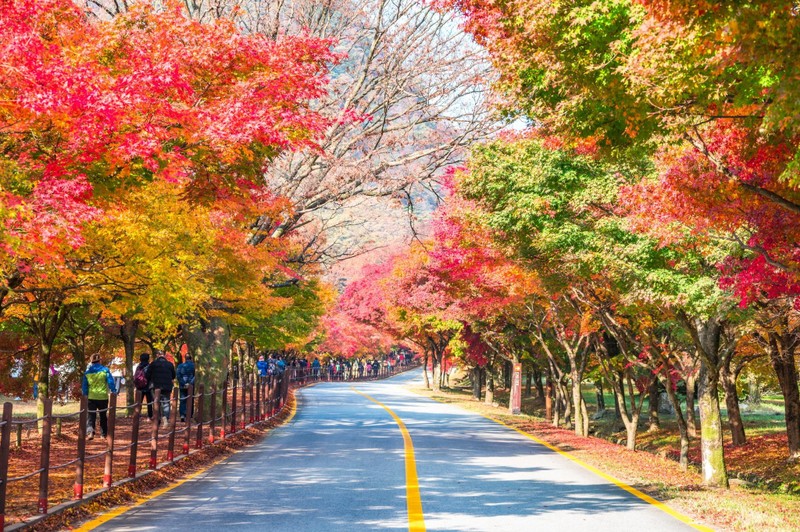 Рынок выездного туризма Вьетнама быстро восстанавливается