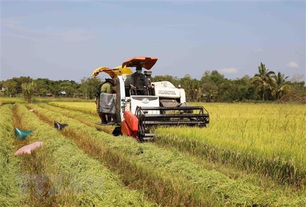 Малазийский эксперт Вьетнаму стоит продвигать инновации, чтобы использовать CPTPP