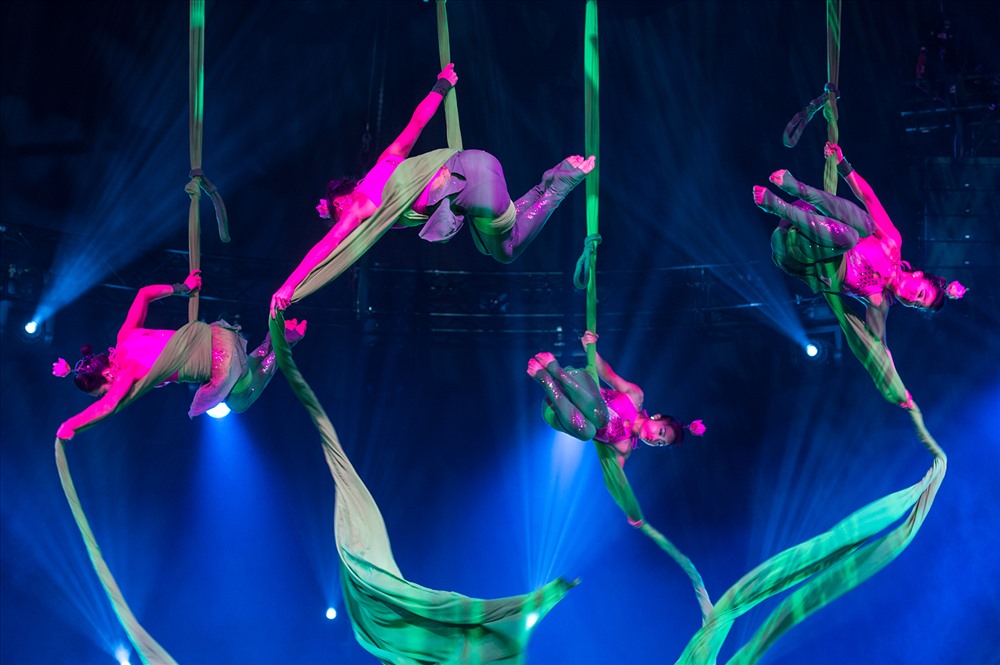 Около 30 выступлений будут показаны в рамках международного циркового фестиваля 2022 года в Ханое