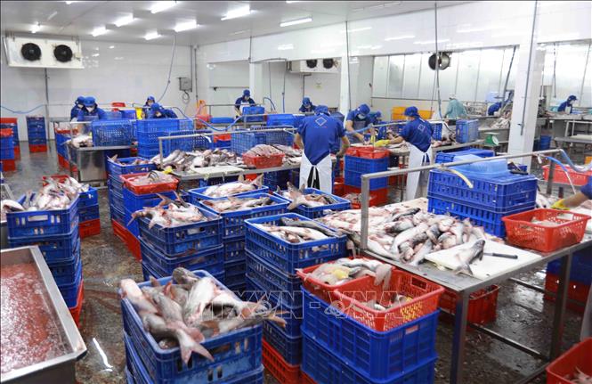 Экспорт морепродуктов превысил 10 млрд
