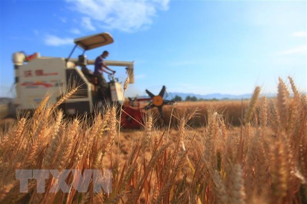 Москва продолжит взаимодействовать с ООН для обеспечения продовольственной безопасности в мире