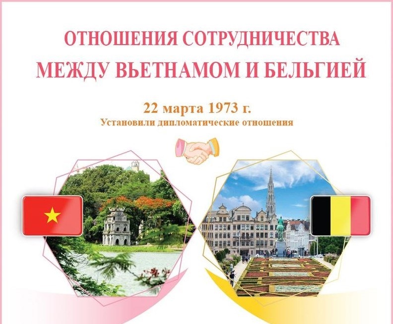 Отношения сотрудничества между Вьетнамом и Бельгией