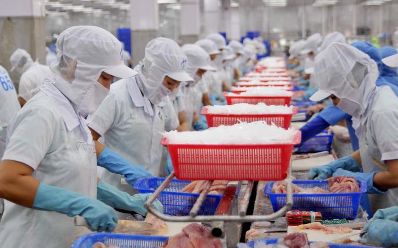 Вьетнамский пангасиус прочно удерживает позицию №1 в мире