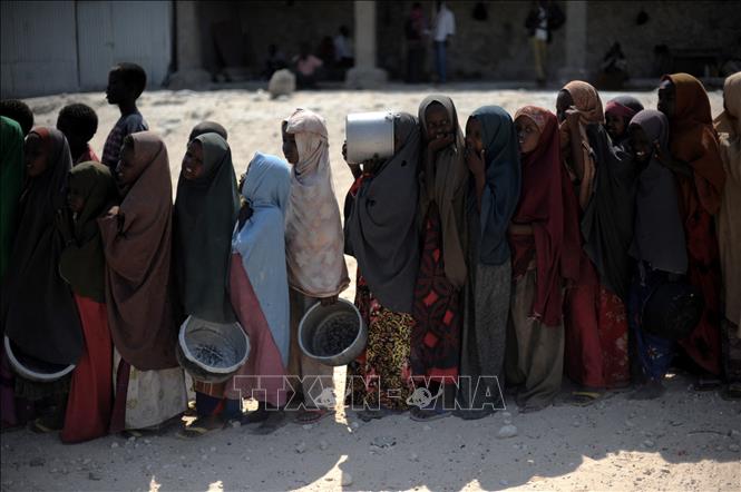 МККК предупредил о массовом голоде и нестабильной безопасности в 2023 году