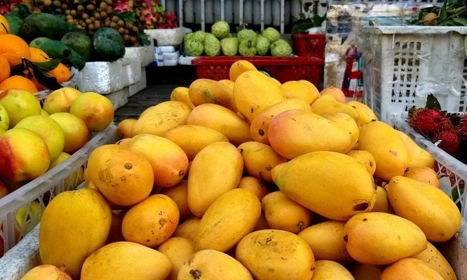 Вьетнам получает более доступную продукцию из Индии и Китая