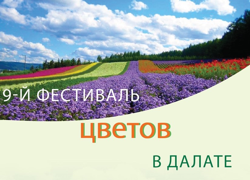 9-й фестиваль цветов в Далате