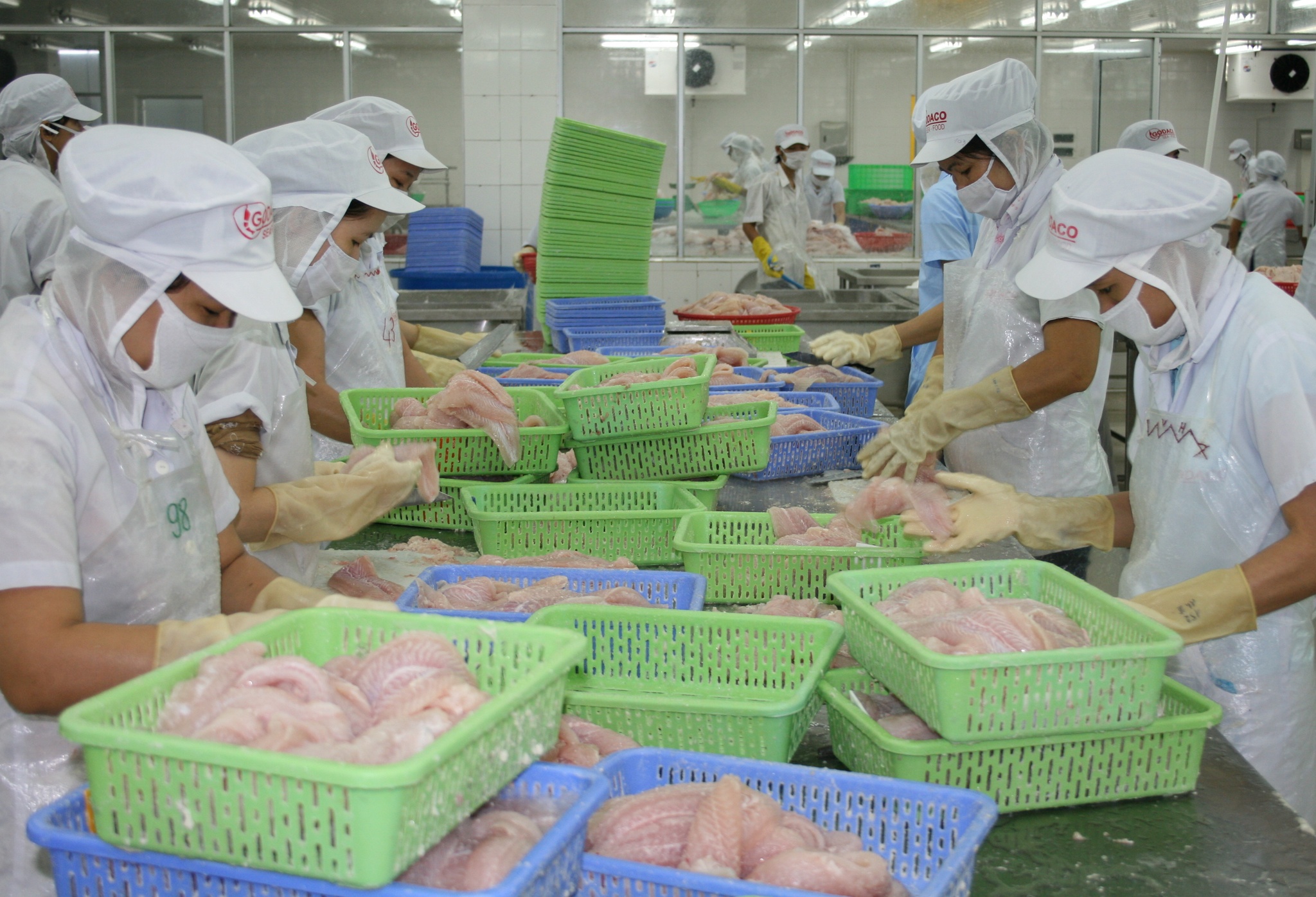 Ожидается резкий рост экспорта морепродуктов в Китай