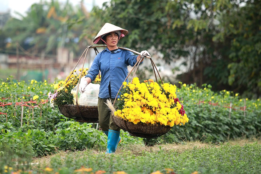 Красивые фотографии цветочной деревни Кхыонг Ха