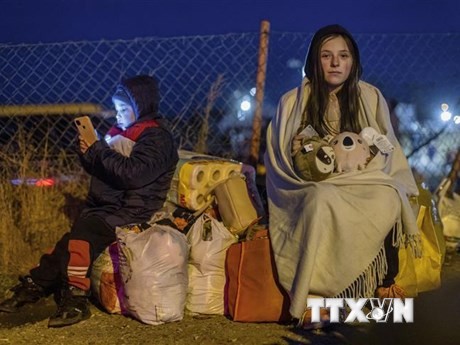 ООН приветствовала прекращение огня на Украине