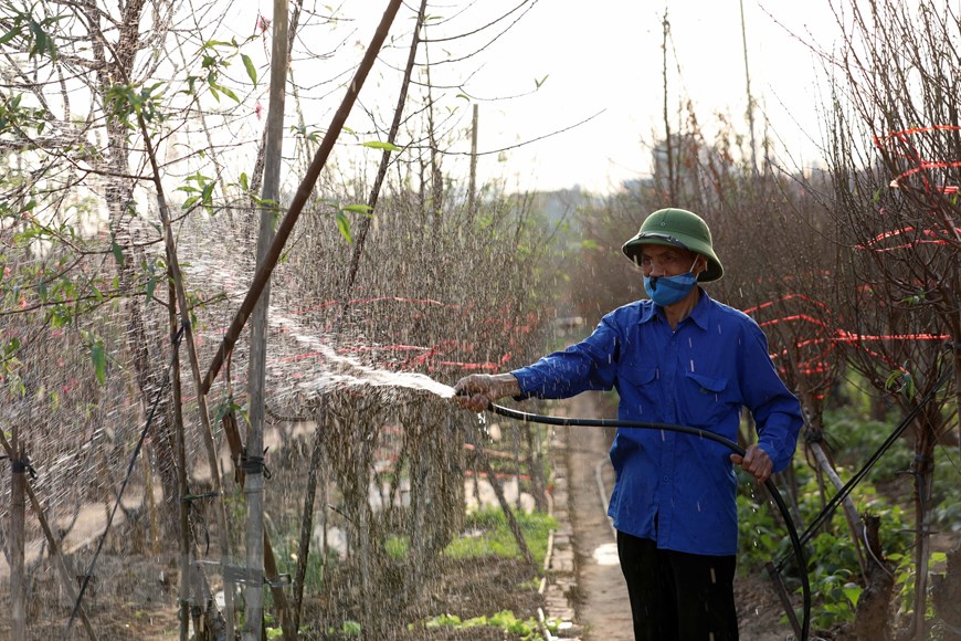 Цветочная деревня Няттан в преддверии Тэта