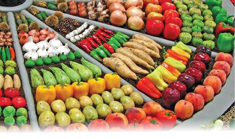 Экспорт продукции сельского, лесного и рыбного хозяйства установил новый рекорд – более 53,22 млрд долл США