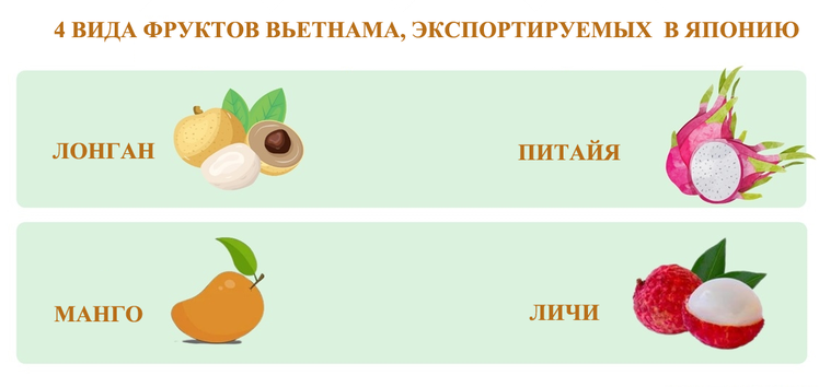 Вьетнам экспортировал первую партию лонгана в Японию