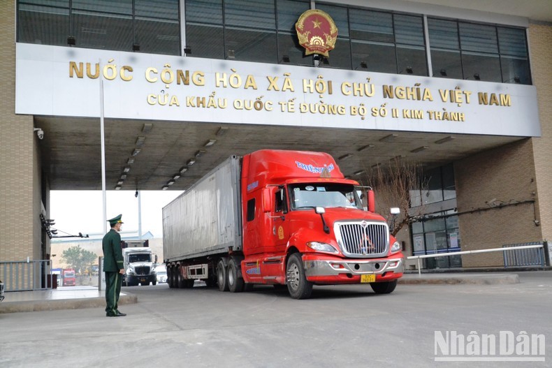 Более 150 тонн питайи было экспортировано в Китай в первый день Тэта