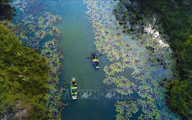 Всемирный день водно-болотных угодий 2023 года будет отмечаться во Вьетнаме различными мероприятиями