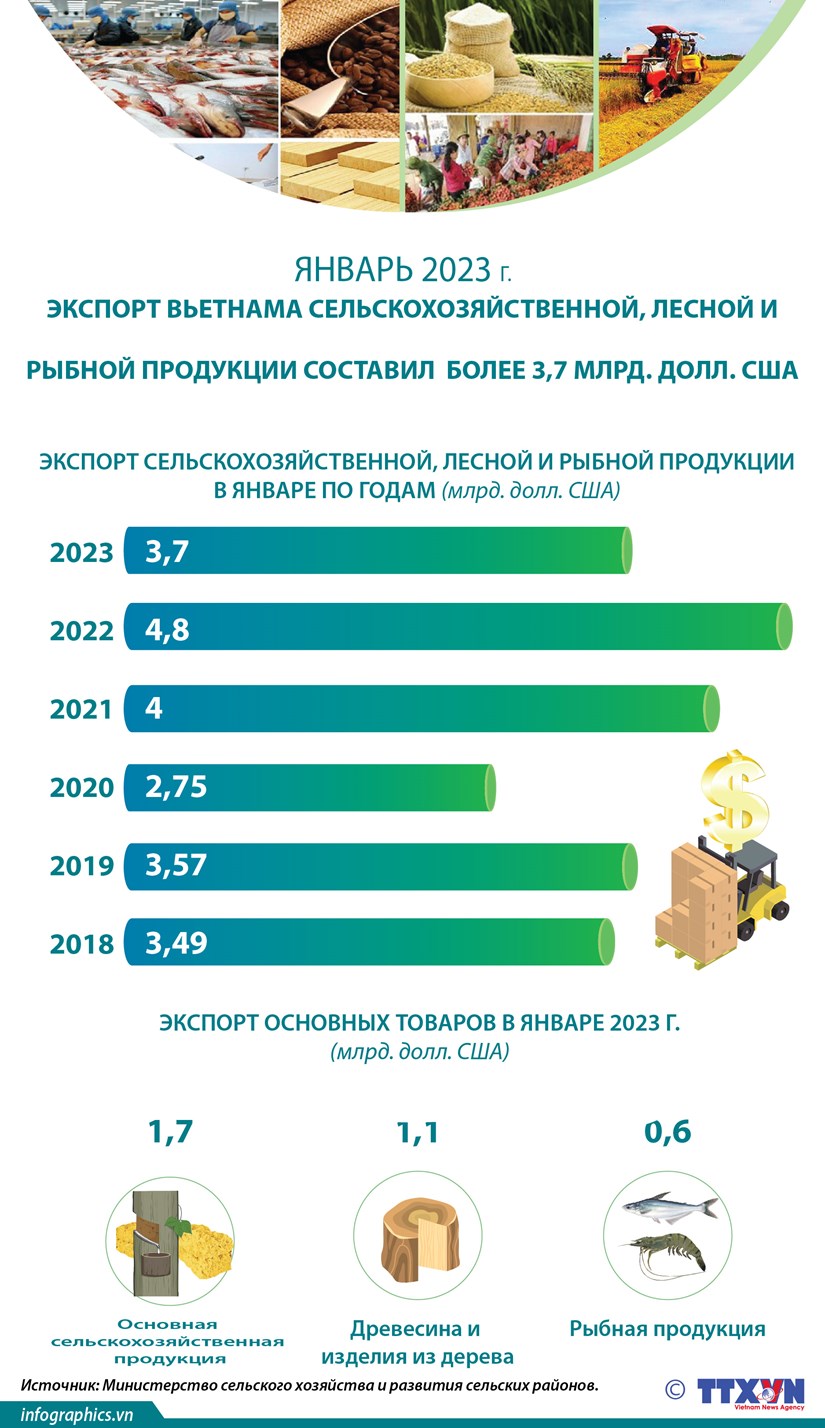 В январе экспорт Вьетнама сельскохозяйственной, лесной и рыбной продукции составил более 3,7 млрд долл США