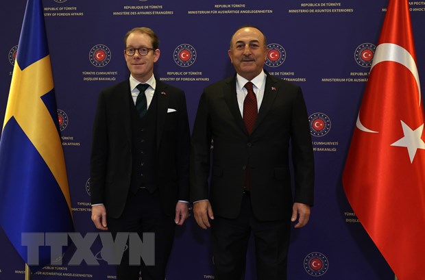 Законопроект о членстве Швеции в НАТО будет представлен на рассмотрение парламенту страны в марте