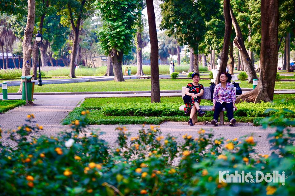 Зеленое пространство в парке Единство