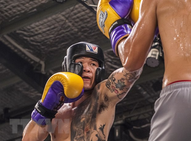 Чемпионат Азии по боксу WBA впервые пройдет во Вьетнаме