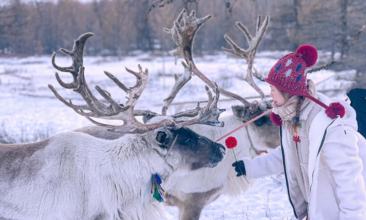 Монголия разрешает выдачу электронных виз для вьетнамцев