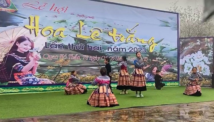 Фестиваль белоснежных цветов груши