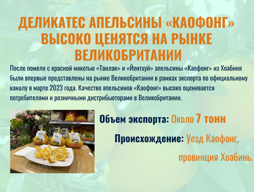 Деликатес апельсины «Каофонг» высоко ценятся на рынке Великобритании