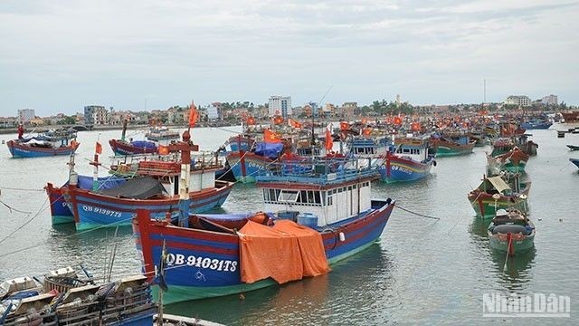 Cосредоточение внимание на решениях по снятию «желтой карточки» ЕК в отношении морепродуктов