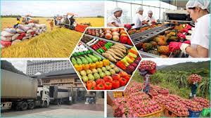 Экспорт продукции сельского, лесного и рыбного хозяйства достиг около 6,28 млрд долл США за 2 месяца 2023 года