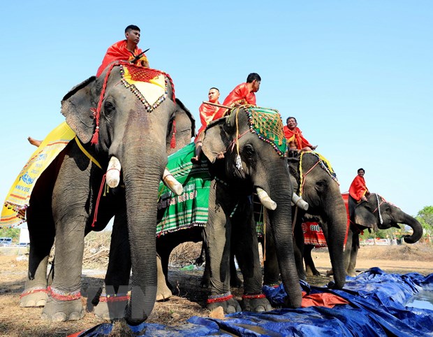 Даклак форма туризма, дружественная к слонам - Сохранение для развития
