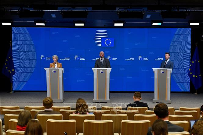 Страны ЕС одобрили совместную закупку боеприпасов для Украины