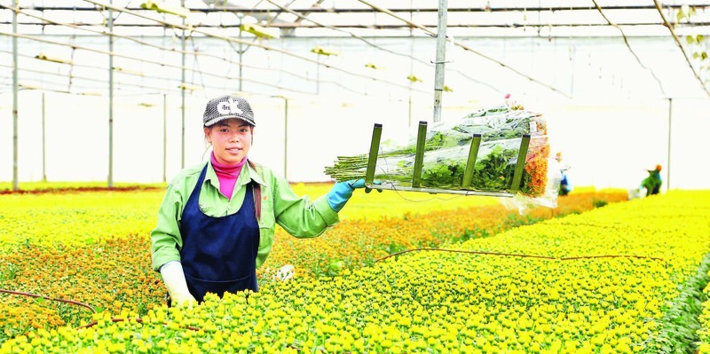 Активизация потенциала стратегического положения