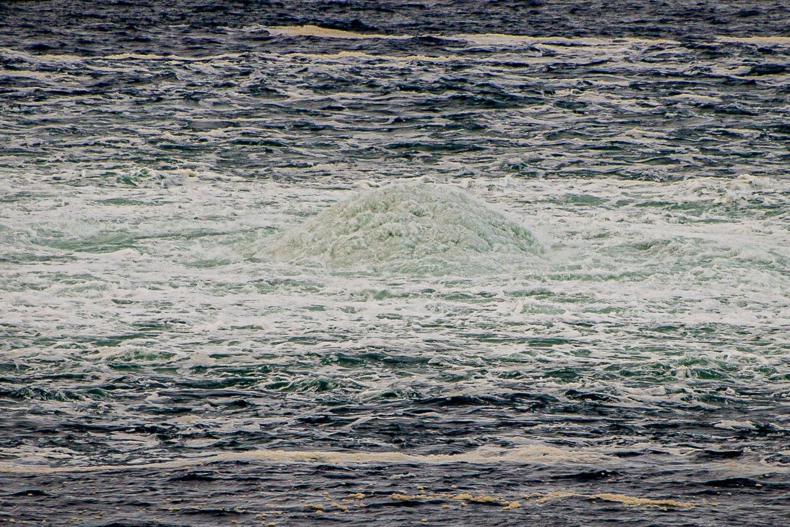 Президент РФ заявил о причастности США к подрыву Северных потоков