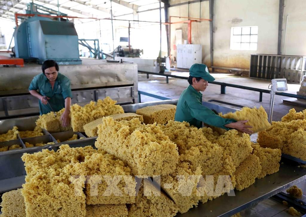 Натуральный каучук Вьетнам занимает третье место в мире по объемам производства