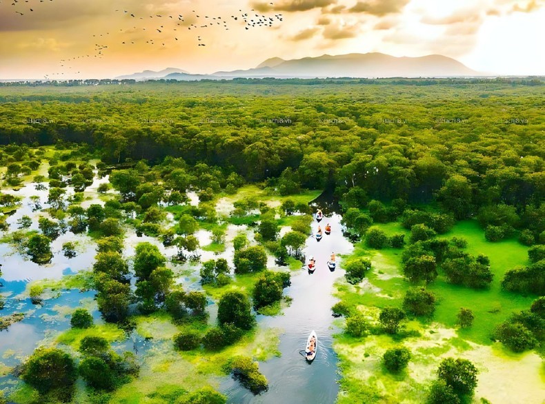 Чаши – от обычной жизни до кино