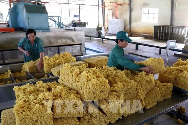 Повышение конкурентоспособности вьетнамского каучука на международном рынке