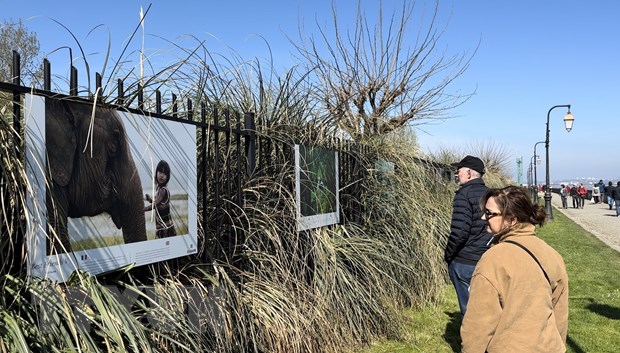 Французский фотограф представляет красоту Вьетнама французской публике