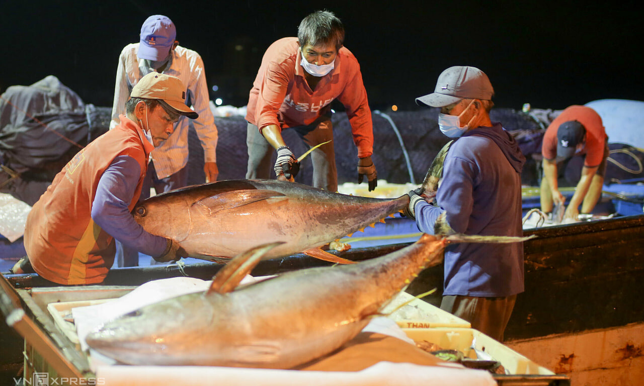 Экспорт тунца из Вьетнама в Великобританию увеличился в три раза